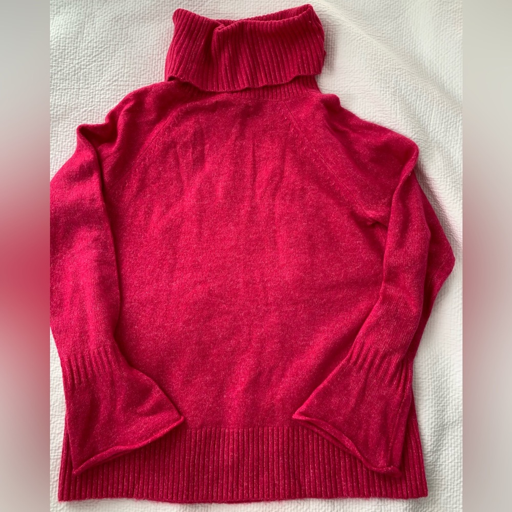 Anne Taylor Loft Sweater- NWT